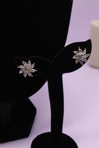 Diva Statement Sets Series 0089 - AZ Golden Set