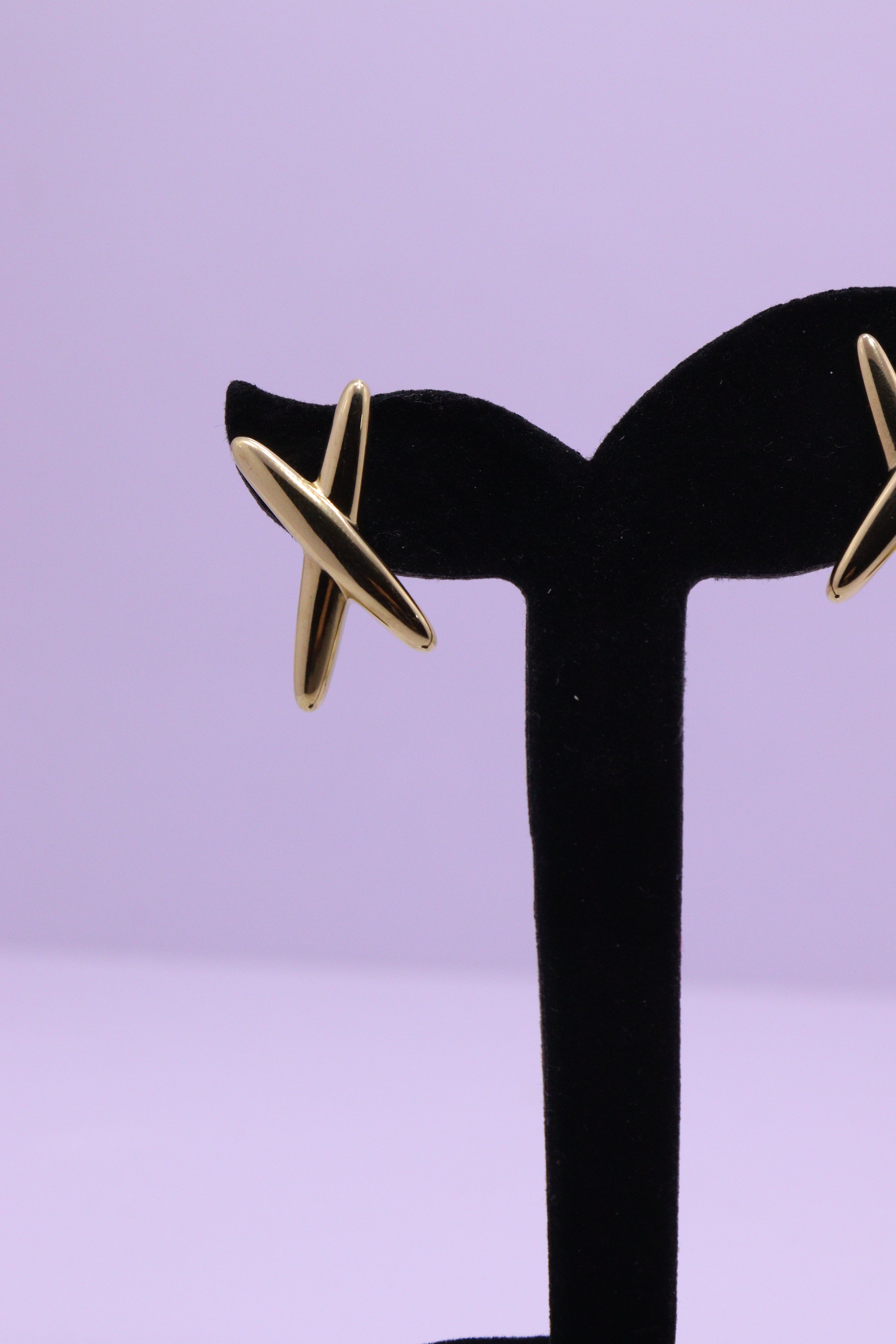 Bold Glow Series 0029 - AZ Golden Ear ring