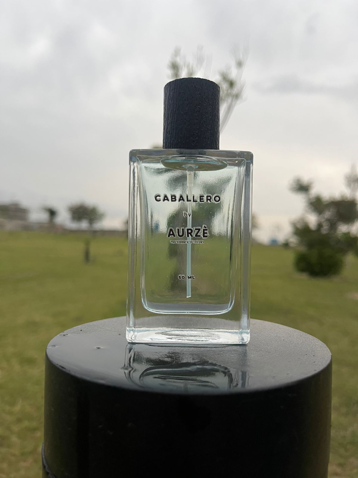 Cabellero - Fragrance